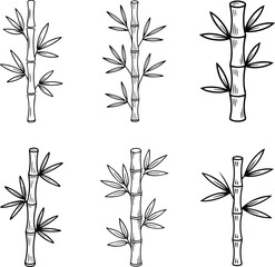 Set of Minimalist hand drawn bamboo plant outline icon vector