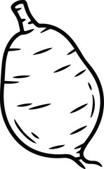 Minimalist hand drawn jicama outline icon vector