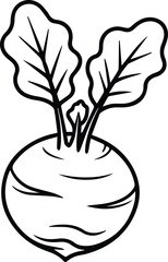 Minimalist hand drawn kohlrabi outline icon vector