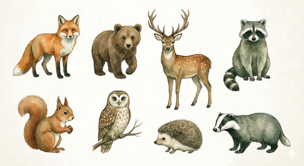 Cute watercolor forest animals wildlife illustration set fox bear deer raccoon squirrel owl badger h © Nofriyan