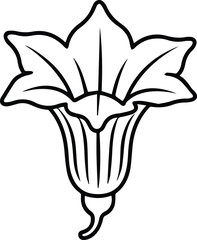 Minimalist hand drawn squash blossom outline icon vector