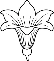 Minimalist hand drawn squash blossom outline icon vector