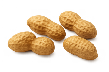 Peanuts in shell arranging on transparent background, healthy snacks, natural ingredient, food allergy concept