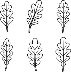 Set of Minimalist hand drawn arugula leaf outline icon vector