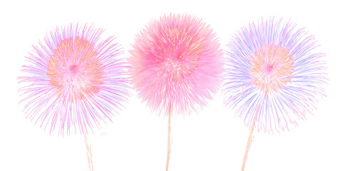 Fireworks: Exploding with colors, these vibrant bursts of light illuminate the night sky, creating a breathtaking display of joy and celebration. 