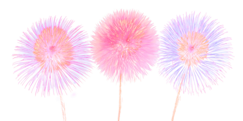 Fireworks: Exploding with colors, these vibrant bursts of light illuminate the night sky, creating a breathtaking display of joy and celebration. 