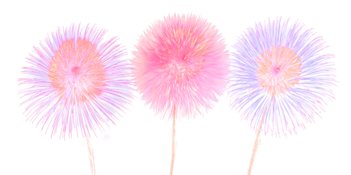 Fireworks: Exploding with colors, these vibrant bursts of light illuminate the night sky, creating a breathtaking display of joy and celebration. 