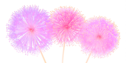 Three Delicate Dandelions in Pastel Hues: Three fluffy dandelion heads, each a delicate sphere of intricate beauty, float in a soft focus composition.