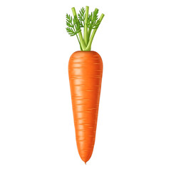 Fresh orange carrot with green stems isolated on transparent background