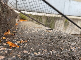 Wide concrete step coated with damp debris, small orange autumn leaves and traces of erosion beneath a metal fence creating an atmospheric urban decay composition”