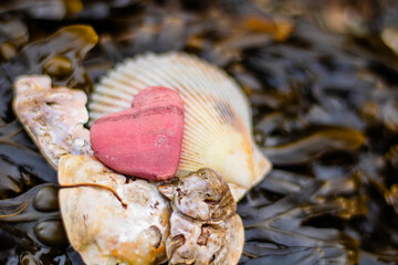 A heart-shaped stone with a romantic feel for Valentine's Day