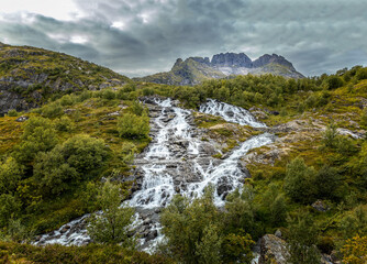 Fototapete bei efototapeten.de bestellen   