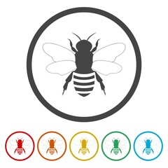 Honey bee silhouette icon. Set icons in color circle buttons