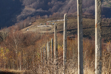 Obraz premium Often called the “Transalpina de Apuseni”, Transapuseana offers a captivating 78-kilometer journey through Romania's Apuseni Mountains.
