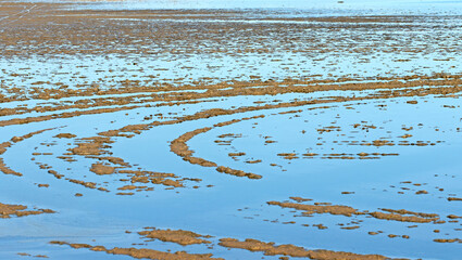 Yumurtalık Bird Lagoon is an important Ramsar Site in Adana, Eastern Mediterranean, Turkey. It's a complex wetland system hosting numerous bird species (flamingos, pelicans) and endangered sea turtles