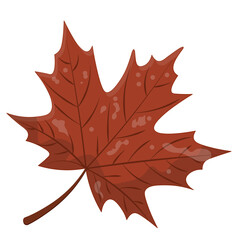Vector Graphic of an Autumn Leaf