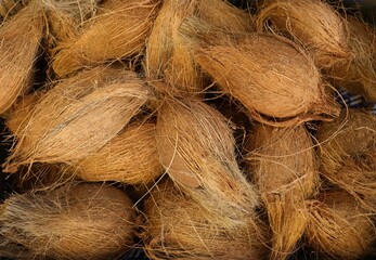 Top View of Peeled Coconut Stack with Copy Space in a Fruits Store for Selling in Horizontal Orientation, Perfect for Background or Wallpaper