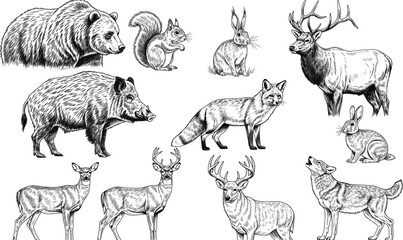 Large Vector Set of Hand-Drawn Engraving Style Forest Animals, Including Bear, Deer, Fox, Wild Boar, Squirrel, Rabbit, and Elk, Ideal for Vintage Wildlife and Nature Illustrations
