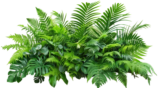 A lush arrangement of various tropical leaves showcasing vibrant greens and diverse textures.