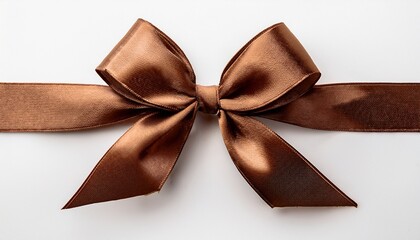 Beautiful Brown Gift Bow Isolated On White Background