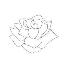 Elegant single line drawing of a blooming rose flower