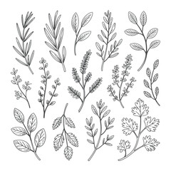 Seamless floral pattern vector illustration featuring vintage flowers, leaves, and branches for textile design and wallpaper decoration