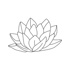 Simple outline drawing of a blooming lotus flower