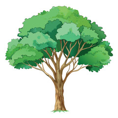 Beautiful green tree illustration with layered foliage and a textured trunk, in a clean, watercolor-style design.