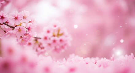 Dreamy blossom scene with delicate pink cherry flowers in full bloom backdrop