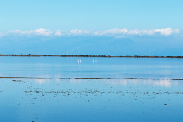 Yumurtalık Bird Lagoon is an important Ramsar Site in Adana, Eastern Mediterranean, Turkey. It's a complex wetland system hosting numerous bird species (flamingos, pelicans) and endangered sea turtles