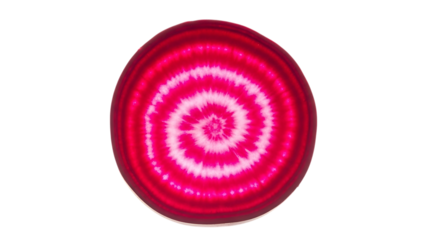 Cross section of a chioggia beet showing concentric rings isolated on transparent background
