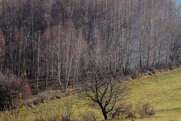 On the Transapusena, Romania