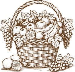 An engraving art style illustration vintage sketch of a wicker basket overflowing with assorted fresh fruit including grapes, bananas, and citrus