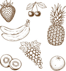 An engraving art style illustration collection of hand drawn fruit sketches including strawberry, cherry, banana, pineapple, kiwi, grape, and orange