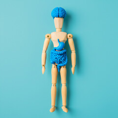 Wooden Mannequin with Intestine Model – Creative Digestive System Anatomy Concept