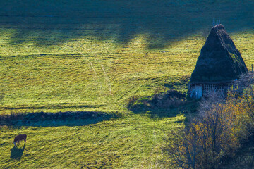 On the Transapusena, Romania