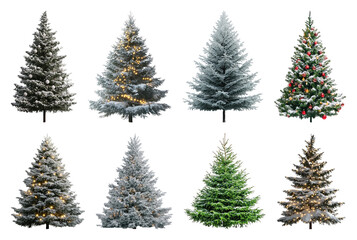 Obraz premium PNG Diverse festive Christmas tree collection, element set on transparent background