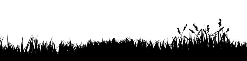 Fototapeta premium Meadow silhouette with grass, plants on plain. Panoramic summer lawn landscape with herbs, various weeds. Herbal border, frame element. Black horizontal banners. Vector illustration