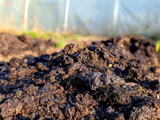 Rich organic compost pile close up, dark fertile soil for gardening and sustainable agriculture, natural waste recycling background