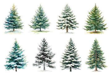 Obraz premium Watercolor evergreen trees collection.