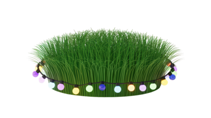 Green grass clump with fairy lights isolated on transparent background close up studio shot of turf or plant used for decoration celebration and outdoor environment