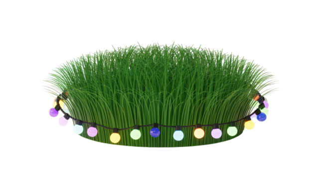 Green grass clump with fairy lights isolated on transparent background close up studio shot of turf or plant used for decoration celebration and outdoor environment