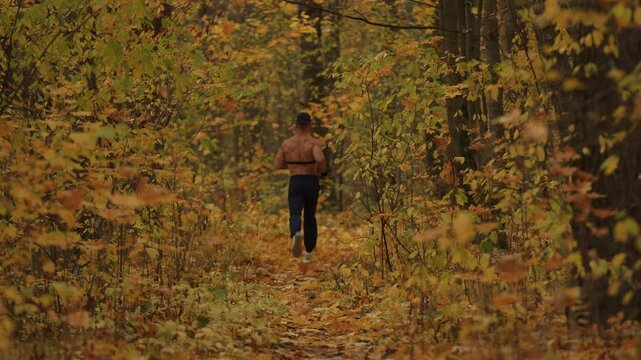 Shirtless bodybuilder with heart rate monitor on his chest runs along path in an autumn forest during leaf fall.