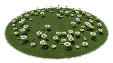 Lush Circular Patch of Grass with Blooming Daisies Offers Charming Natural Element Ideal for Springtime Visuals and Adds Touch of Whimsical Beauty to Environmental Designs