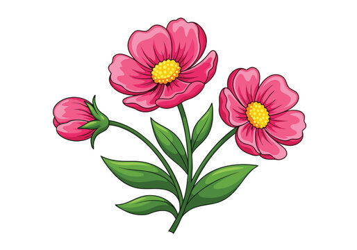 Adobe Illustrator Artwork