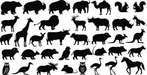 Fototapeta premium Silhouette collection of wild animals, featuring a diverse range of species from around the world, in a simple and elegant design