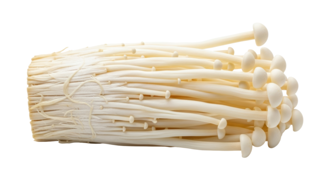Enoki mushrooms isolated PNG on transparent background, fresh golden needle mushroom bundle for Asian cuisine and healthy eating - Powered by Adobe