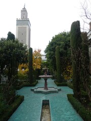 Paris, November 2025 : Visit of the magnificent city of Paris, Capital of France - Visit to the Grand Mosque of Paris, built to commemorate Muslims who died for France