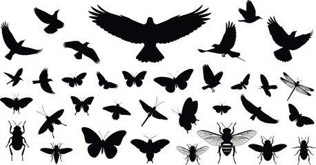 Black silhouette set of flying creatures including birds, butterflies, bees, dragonflies, and beetles, isolated vector collection illustrating nature, wildlife, insect diversity, and avian species.