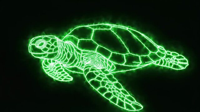 Glowing Green Sea Turtle Outline on Black Background